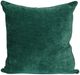 Stylecraft Green Designer Pillow-0