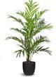 Le Present Green 78.5" Faux Botanical Palm Tree-0