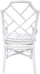 New Pacific Direct Kara White Rattan Dining Chair-4