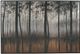 Signature Design by Ashley® Philyra Wall Art-0