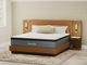 Nealden Plush Queen Mattress-3