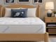 Elm Plush Twin Mattress-0