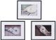 A & B Home 3-Piece Multi-Colored Rope Wall Art-0