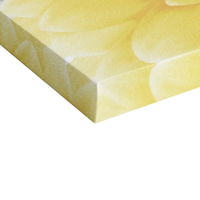 Olliix by Mi Zone Vibrant Yellow Yellow Gel Coated Canvas-2