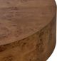 Four Hands Caya Caramel Burl Coffee Table-4