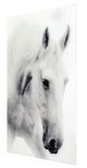 YHD Nature's Beauty II Wall Art-1