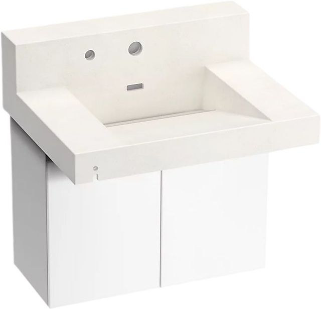 KOHLER® Constellation™ Arrow Root 30" Wall-Mount Lavatory System with Backsplash and White Powder-Coated Shroud-0