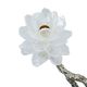A & B Home Black/Silver 8" Branch Decor-4