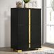 Furniture of America® Lillestrom Black/Gold Chest-1