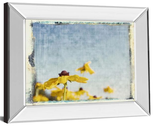 Classy Art Blackeyed Susan I by Meghan Mcsweeney Mirror Framed Wall Art-1