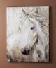 Giftcraft Brown/Gray/White Print Canvas with Horse-0