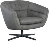 Buckskin Dark Gray