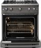 Viking® 5 Series 30" Damascus Gray Pro Style Gas (NG) Range with Polished Chrome Trim-1