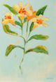 Stylecraft Lily Study II Wall Art-1