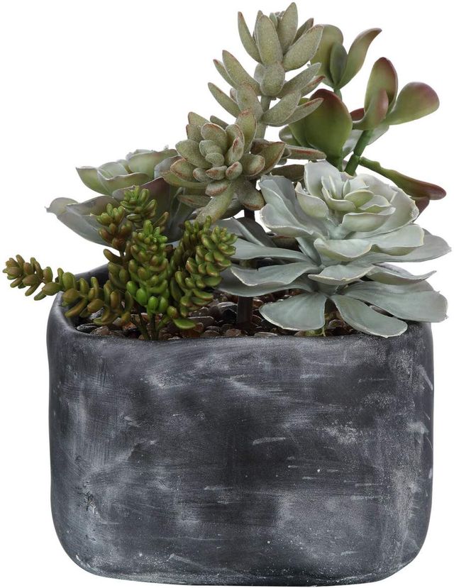 Uttermost® Alverio Charcoal Gray/Green Succulents-2