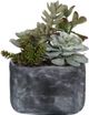 Uttermost® Alverio Charcoal Gray/Green Succulents-2