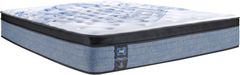 Sealy® Posturepedic® Plus Mason 12" Wrapped Coil Firm Euro Top Queen Mattress