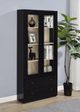 Coaster® Hawthorne Black 2-Door Accent Cabinet-4