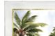 Crestview Collection Maui 2-Piece Wall Art Set-2
