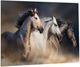 Classy Living Wild Stallion Trio Wall Art-3