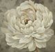 Stylecraft Blooming In Neutral III Gold/Gray Wall Art-1