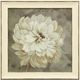 Stylecraft Blooming In Neutral II Gold/Gray Wall Art-0