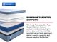 Sealy® Posturepedic® Plus Hagerstown 15" Wrapped Coil Medium Euro Pillow Top King Mattress-5