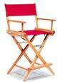 Telescope Casual World Famous Director Chair Balcony Height Arm Chair-0