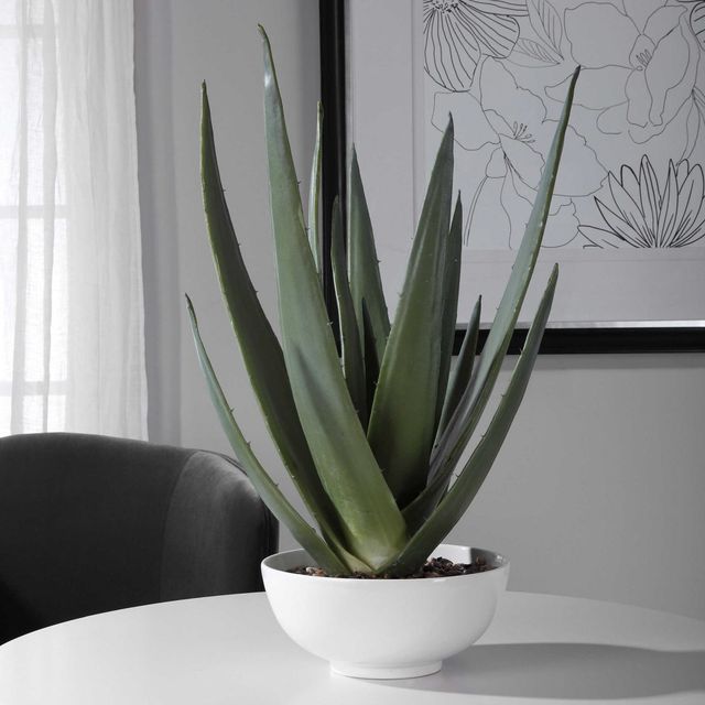 Uttermost® Evarado Glossy White/Green Aloe Planter-1