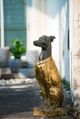 A & B Home Black/Gold Dog Statue-2