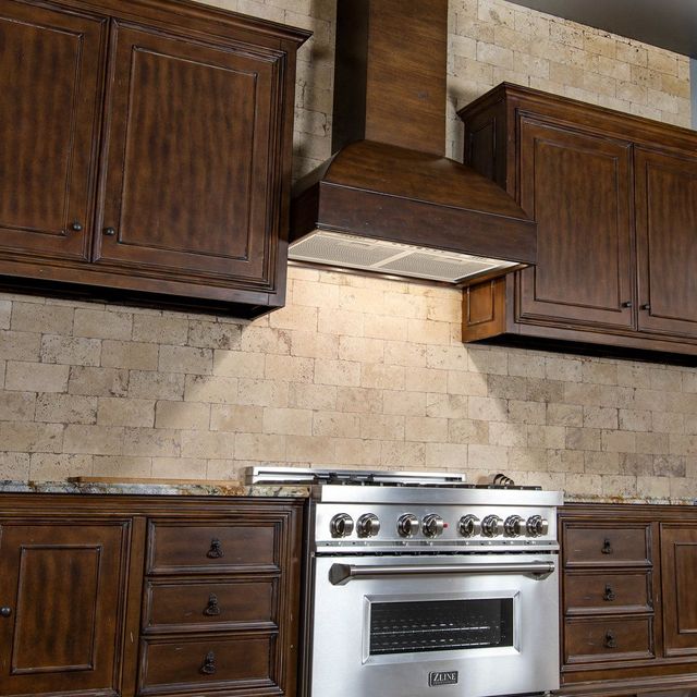 ZLINE 21" Stainless Steel Insert Range Hood -7