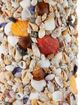 Currey & Company Festoon Natural Table Lamp-3
