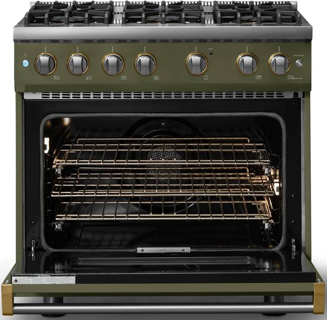 Viking® 5 Series 36" Martini Pro Style Gas (LP) Range with Brushed Brass Trim-1