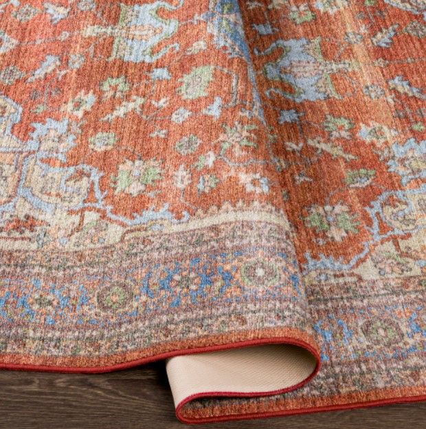 Surya Leicester Beige/Brick Red 4'x6' Area Rug-3