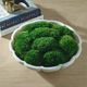 Uttermost® Awaken Moss Green/White Centerpiece-1