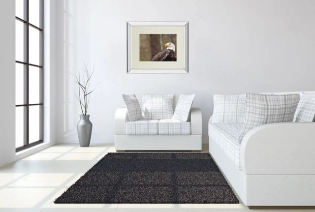 Classy Art Majestic Eagle by Garytog Mirror Framed Wall Art-3