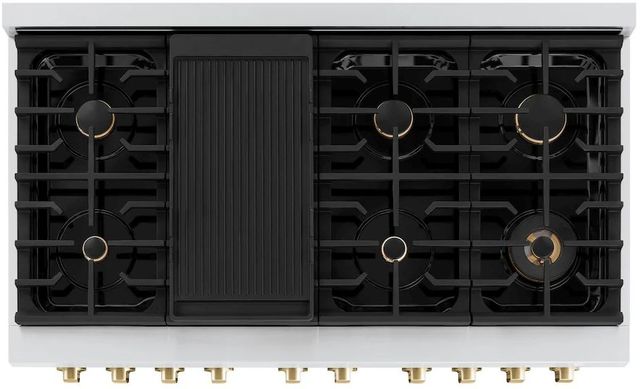 ZLINE Autograph Edition Paramount 48" Stainless Steel Pro Style Gas Range with Black Matte Door and Polished Gold Accents-3