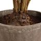 Uttermost® Zamia Brown/Green Palm Accent In Planter-4