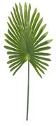 A & B Home Light Green Fan Palm Leaf Stem-0