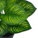 A & B Home Green 9" Leaves with Pot-3
