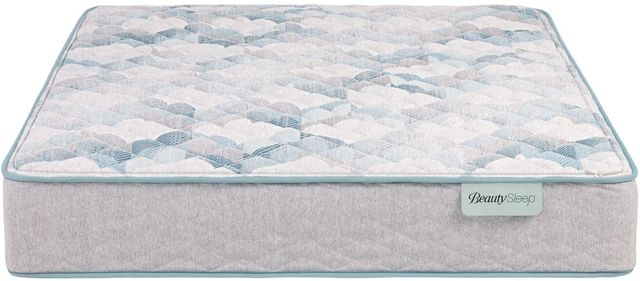 BeautySleep® Dream Weaver™ 12.5" Pocketed Coil Firm Quilted Tight Top Queen Mattress-2