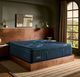 Stearns & Foster® Reserve 17" Innerspring Firm Pillow Top Twin XL Mattress-1