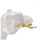 A & B Home White Real Touch Orchid with Ceramic Dish-3