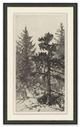 Magnolia Home by Joanna Gaines Tall Trees II Wall Art-0