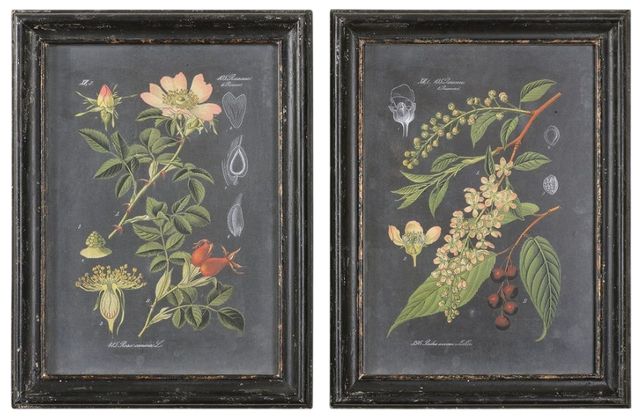 Uttermost® Vision Studio 2-Piece Midnight Botanicals Framed Prints Set-0