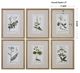 Uttermost® 6-Piece Green Floral Botanical Study Framed Prints Set-2