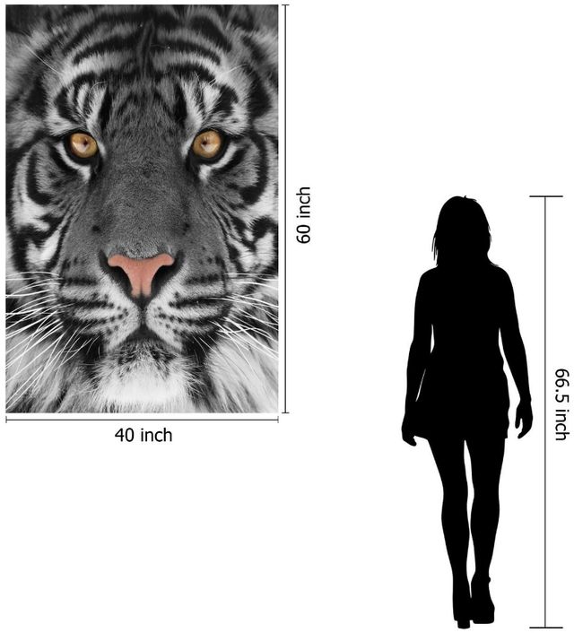Classy Living Eye of the Tiger Wall Art-2