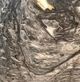 A & B Home Manuel Black/Gray Hand-Carved Zebra Onyx Bowl-0