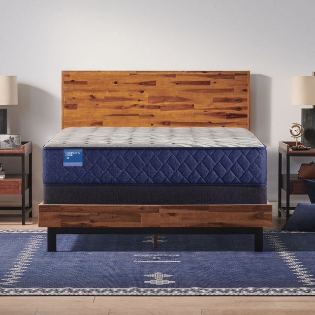 Sealy® Carrington Chase Wild Canyon 12.5" Wrapped Coil Firm Tight Top Full Mattress-2