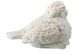 A & B Home White Small Bird Figurine-0